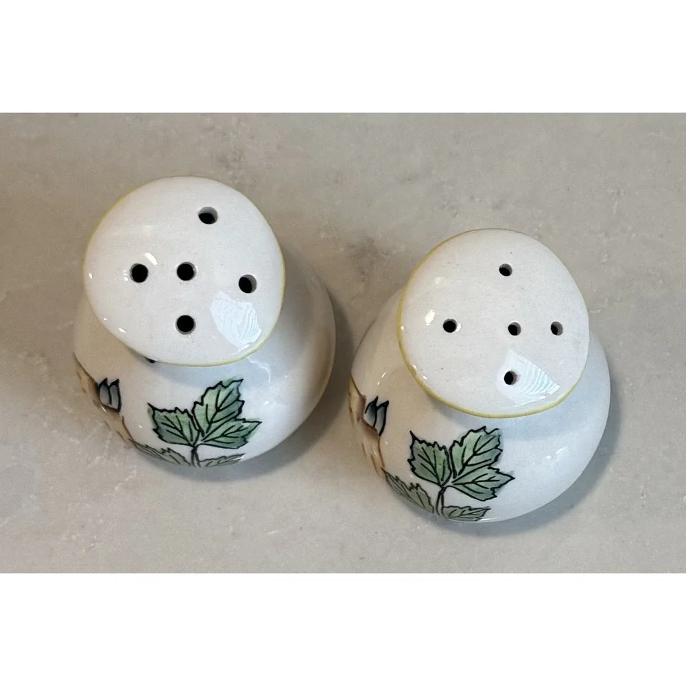 Vintage Mid Century Modern Salt & Pepper Shakers Hand Painted Onion & Leaves MCM